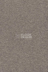 Ковролин AW Vivendi Punch 39 фото 1 | FLOORDEALER